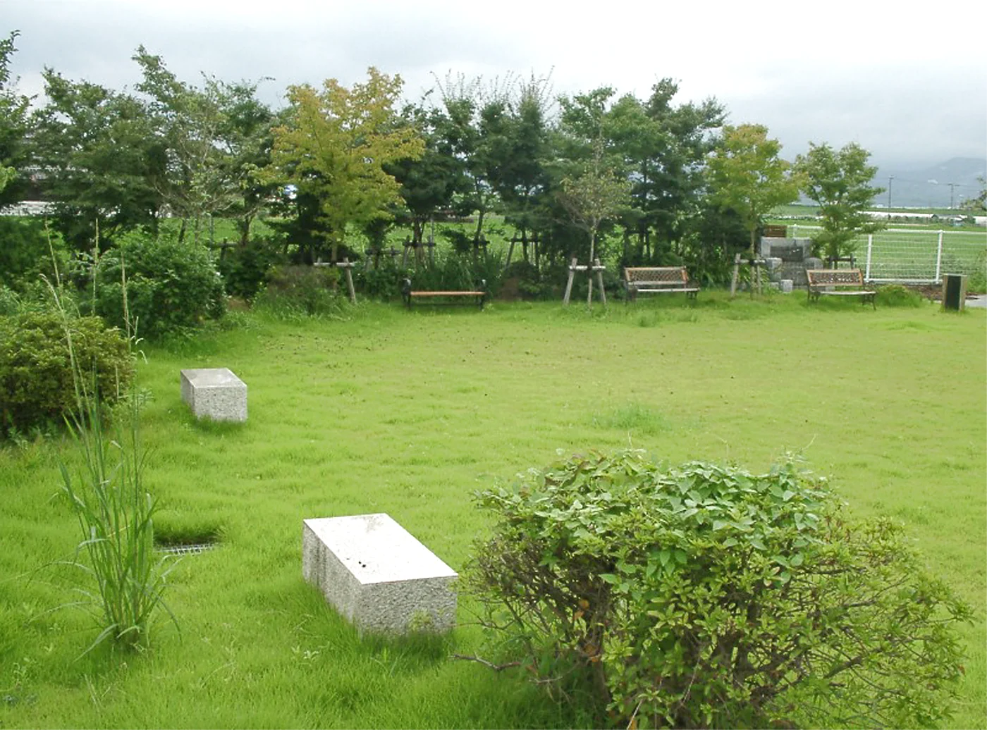 庭